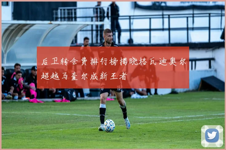 后卫转会费排行榜揭晓格瓦迪奥尔超越马奎尔成新王者
