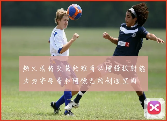 热火或将交易约维奇以增强投射能力为字母哥和阿德巴约创造空间
